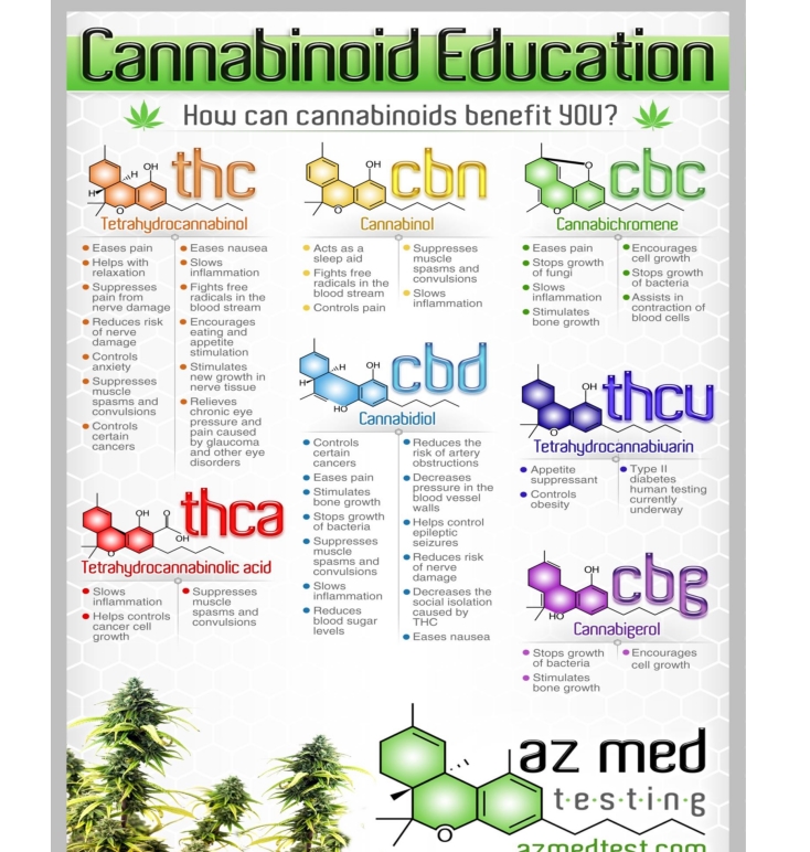 Cannabinoids.jpg