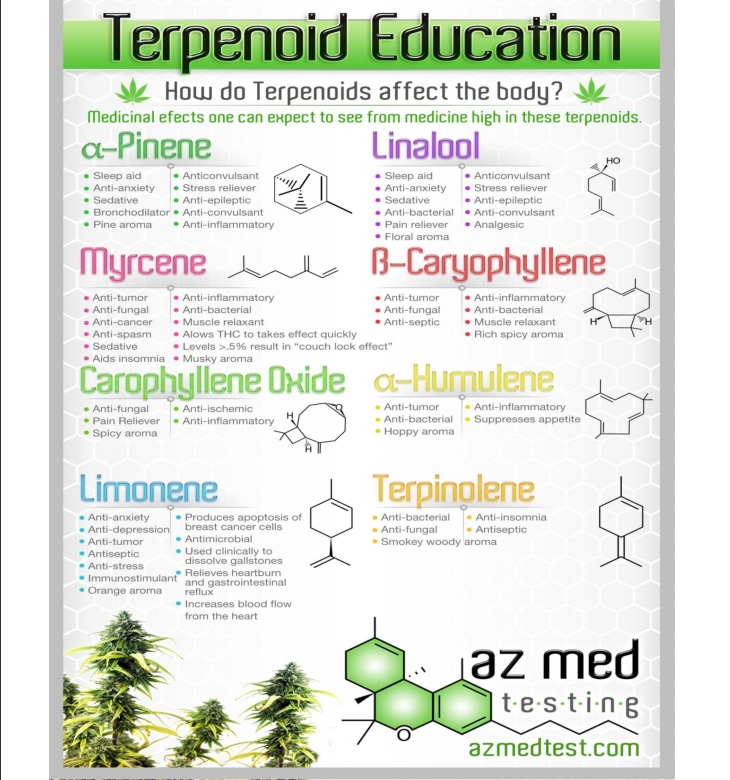 Terpenes.jpg